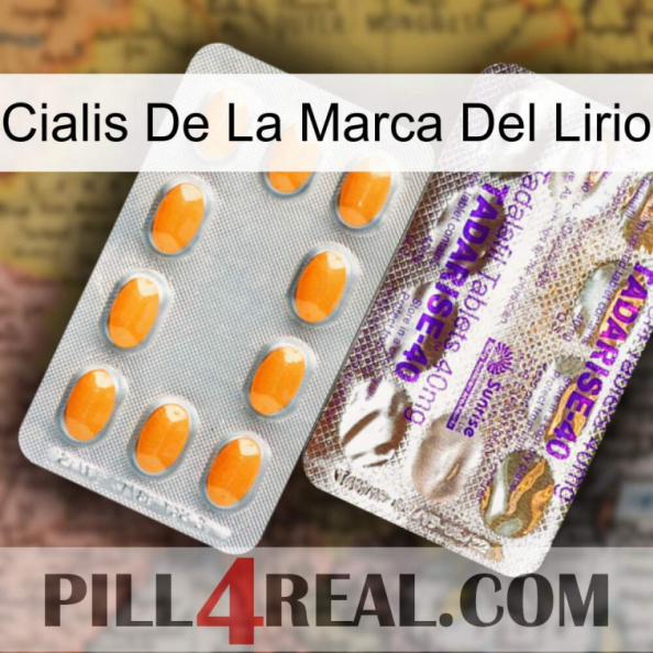 Lily Brand Cialis new12.jpg